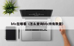 btc在哪看（怎么查询btc持有数量）