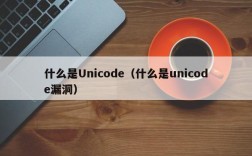 什么是Unicode（什么是unicode漏洞）