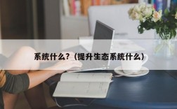 系统什么?（提升生态系统什么）