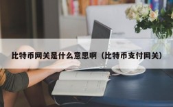 比特币网关是什么意思啊（比特币支付网关）