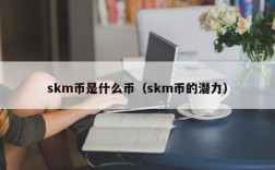 skm币是什么币（skm币的潜力）