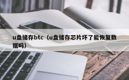 u盘储存btc（u盘储存芯片坏了能恢复数据吗）