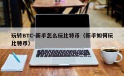 玩转BTC-新手怎么玩比特币（新手如何玩比特币）